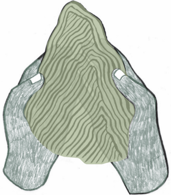 Une illustration de deux mains